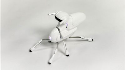 طفرة علمية.. الروبوت 