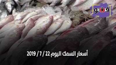 اسعار السمك اليوم 22 / 7 / 2019 | البلطي يسجل 35 جنيها
