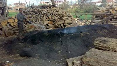 تدشين حملة لجمع توقيعات على استغاثة ضد مكامير الفحم بالقليوبية