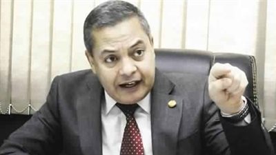 الزراعة: تحرير العقود لـ59 مستفيدا من مزاد سيناء