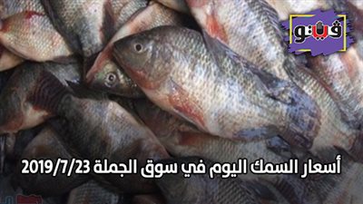 أسعار السمك اليوم في سوق الجملة 2019/7/23