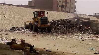 حملة نظافة لتطهير بشتيل وتطوير شارعين بالبراجيل (صور)