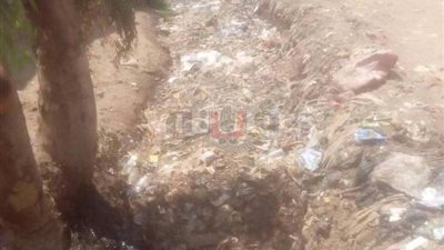 بوار أراضي قرية 