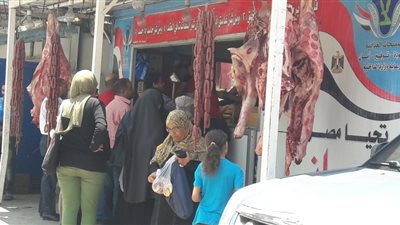 التموين: طرح اللحوم الطازجة والمبردة بالمجمعات استعدادا لعيد الأضحى