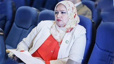 سولاف درويش: قانون التأمينات والمعاشات حقق التوازن بين المرتب والمعاش