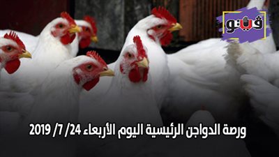 بورصة الدواجن الرئيسية | اسعار الدواجن اليوم الأربعاء 24/ 7/ 2019