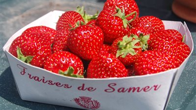 10 مزايا صحية لتناول الفراولة بانتظام