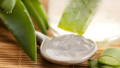 جل «الالوفيرا» حل سحري لمحاربة تجاعيد البشرة