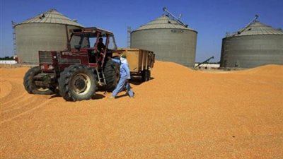 التموين: إنشاء خط سكة حديد بميناء بورسعيد لتوصيل القمح المستورد للصوامع