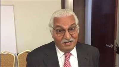 المصريون بالخارج يشيدون بمأموريات استخراج بطاقات الرقم القومي (فيديو)