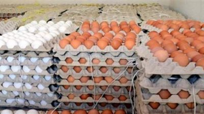 الزراعة: الموافقة على تصدير 360 ألف بيضة خلال أسبوع