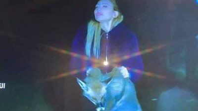 ريهام سعيد: أتعرض لحملة ممنهجة منذ 4 سنوات لإقصائي من المشهد