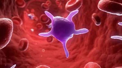 أعراض زيادة الصفائح الدموية في الدم وطرق علاجها