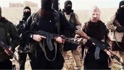 محلل سياسي: حلم إعادة دولة الخلافة تعرض لضربة عنيفة خلال العامين الماضيين،