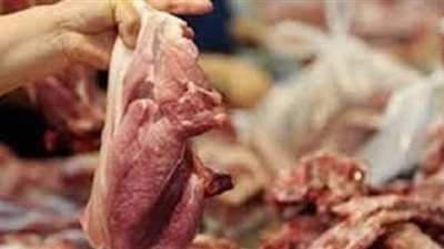 مصادرة 3 أطنان لحوم ودواجن غير صالحة للاستهلاك الآدمي داخل ثلاجة بالجيزة