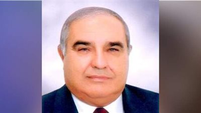 الدستورية تؤيد العلاوات الخاصة للعاملين بالدولة