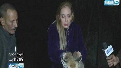 بلاغ للنائب العام ضد ريهام سعيد لتعذيبها ثعلب على الهواء