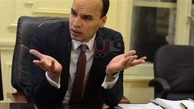 أمين عام المصريين الأحرار: توطيد العلاقات مع أفريقيا مهم في محاربة الإرهاب