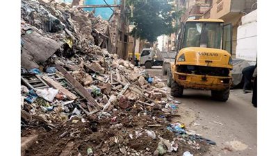 تطهير كباري المشاة بمحور المحمودية في الإسكندرية