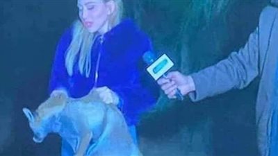 ريهام سعيد تخصص أزمات.. وقف مذيعة صبايا الخير  للمرة الخامسة بسبب 