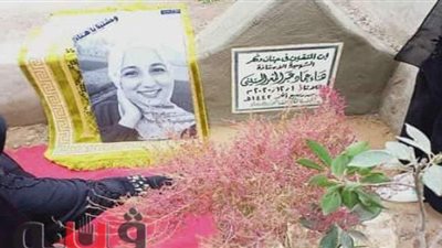 «وحشتينا يا هناء».. لافتة وصورة وورد على قبر ضحية قطار الشرقية | صور