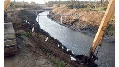 رى البحيرة تتابع أعمال تطهير  الترع استعداداً لموسم الشتاء