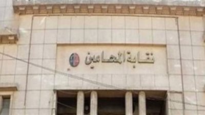 اليوم.. أولى جلسات دعوى وقف قرار دمج النقابات الفرعية للمحامين والدعوى للانتخابات