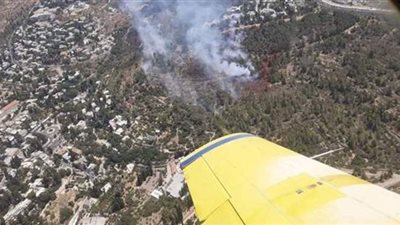 تحسبا لحرائق الغابات.. استراليا تأمر سكان  بلدة تراثية بالإخلاء