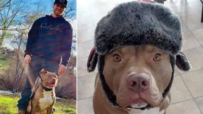 أمريكي يصارع دبًّا يزن 160 كيلو لإنقاذ كلبه