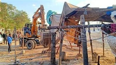 بسبب الثعابين والتماسيح.. محافظة القاهرة توجه بإزالة سوق الحيوانات بالخليفة | صور