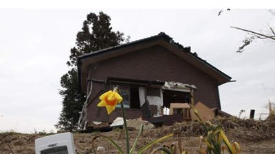 هزة أرضية بقوة 6 درجات تضرب شمال تشيلي