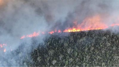 يوم القيامة.. لحظة تفحُّم جزيرة تاريخية بالكامل في أستراليا بسبب الحرائق