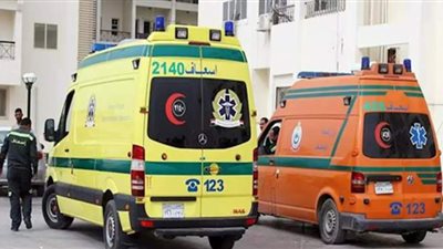 95 سيارة إسعاف للتأمين الصحي جولة الإعادة في انتخابات برلمان 2020 في الدقهلية