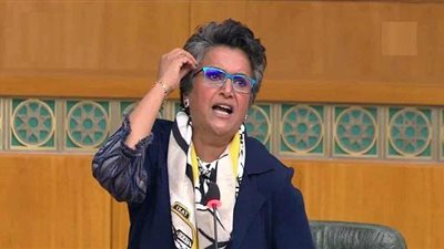 دأبت على مهاجمة مصر.. من هي صفاء الهاشم؟