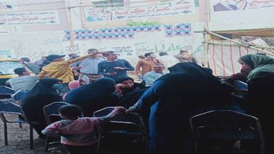 السيدات يتصدرن المشهد الانتخابي  في انتخابات النواب بالقليوبية | صور