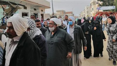 إقبال كثيف على انتخابات النواب بلجان الشيخ زويد | صور