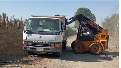 رفع 15 طنا مخلفات بقري اسنا في الاقصر /صور