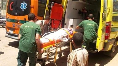 بينهم عروسان.. إصابة 14 في حادث على الطريق السريع بالمنصورة