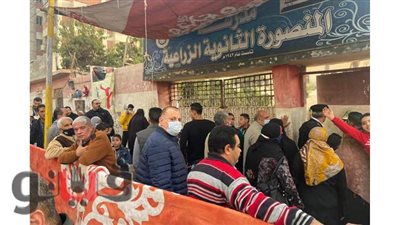 انتظام العملية الانتخابية في اليوم الأول لجولة الإعادة بالمنصورة | صور