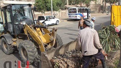 تصميم شعار محافظة الجيزة بالرماية وتقليم الأشجار في الهرم | صور