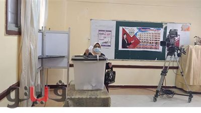 انتظام التصويت بجولة الإعادة للمرحلة الثانية بانتخابات النواب في الدقهلية | فيديو