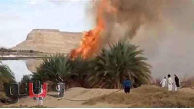 النيابة تكشف سبب حريق نشب داخل شقة سكنية في البساتين