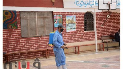 رش وتعقيم  جميع اللجان الانتخابية في الإسماعيلية| صور