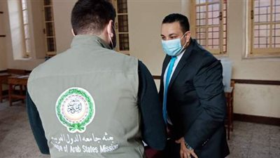 وفد جامعة الدول العربية يتفقد لجان انتخابات النواب ببورسعيد | صور