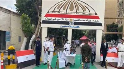 إقبال كثيف على لجان انتخابات النواب في جولة الإعادة بالإسماعيلية | فيديو