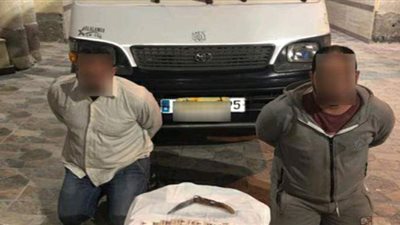 فيديو يقود الأمن لضبط تشكيل عصابي لسرقة المواطنين بالإكراه في البحيرة