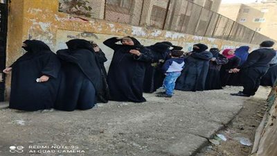 السيدات يتصدرن المشهد الانتخابي أمام لجان القليوبية  | صور