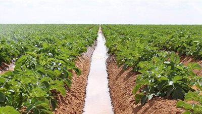 الانتهاء من محطة رفع مياه ري البطس بالفيوم بتكلفة ٦٨ مليون جنيه