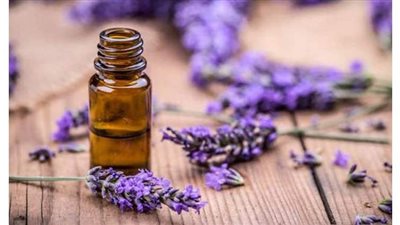 زيت اللافندر سر من أسرار جمال شعرك.. اكتشفيه