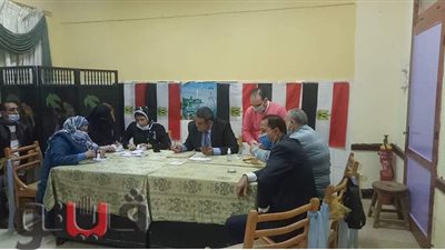 الحصر العددى للجنة رقم 24 بمدينة المنصورة | فيديو وصور